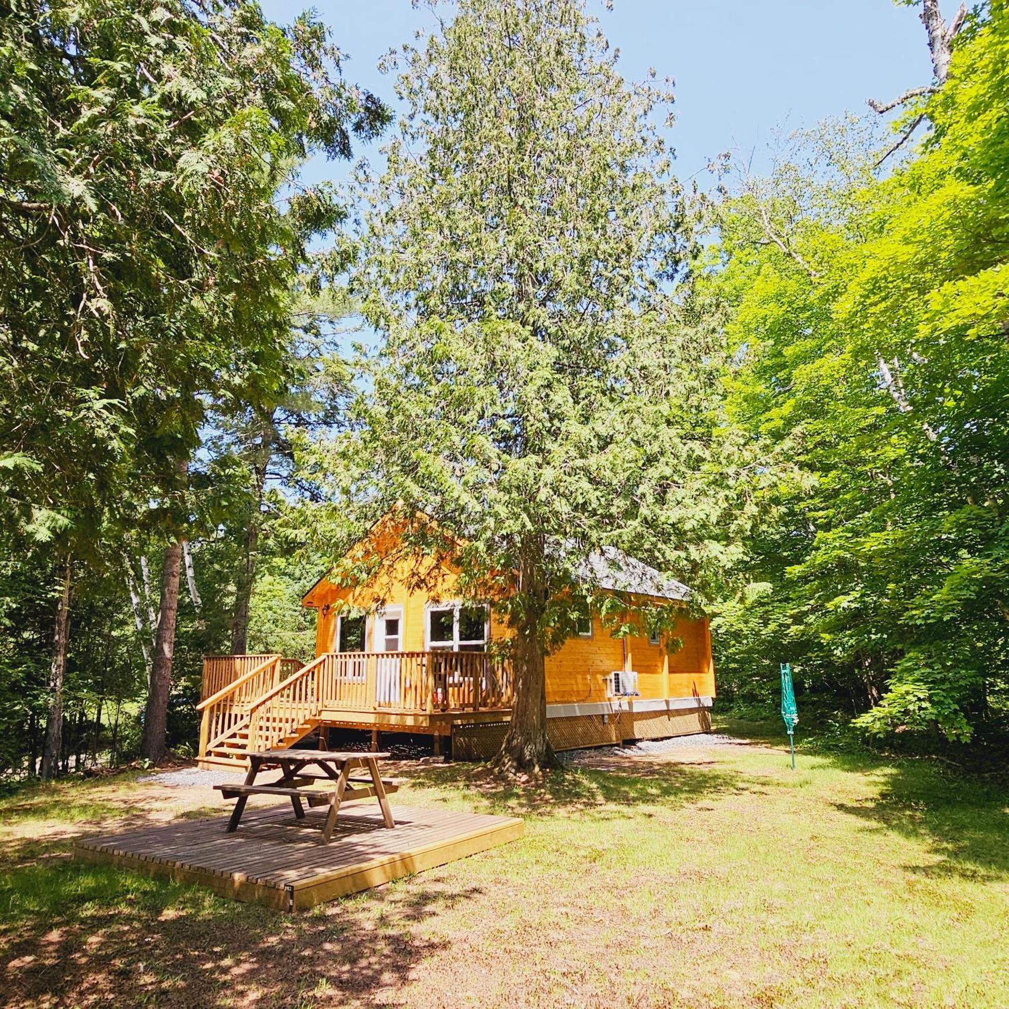 Parkway Cottage Resort And Trading Post Dwight Bagian luar foto