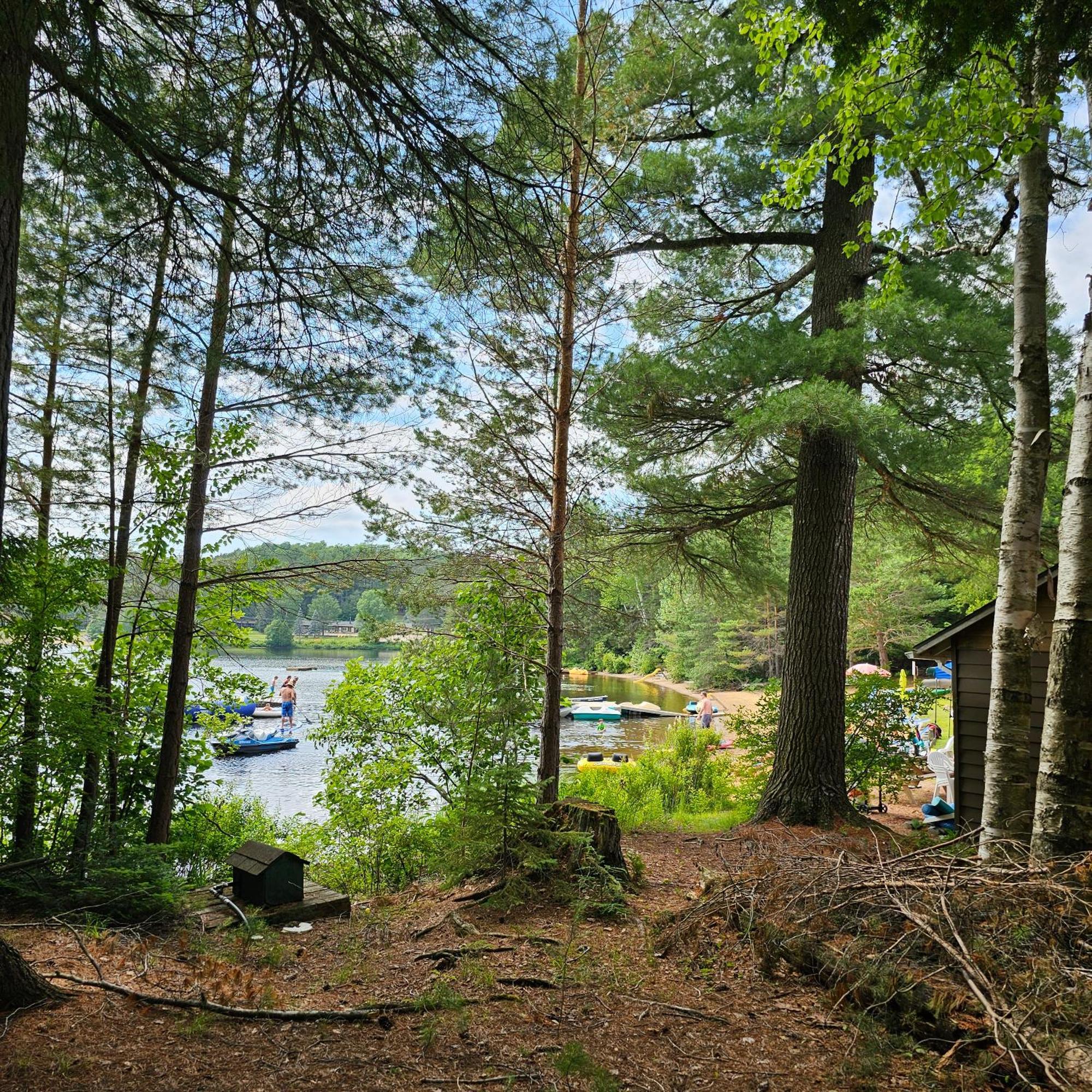 Parkway Cottage Resort And Trading Post Dwight Bagian luar foto